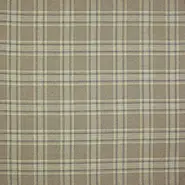 Erskine Plaid